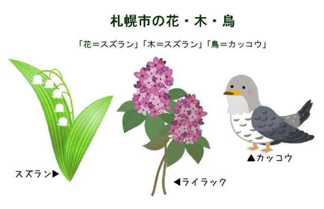 札幌市の花